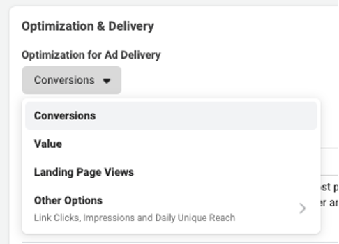 facebook ads mistakes--optimization and delivery tab