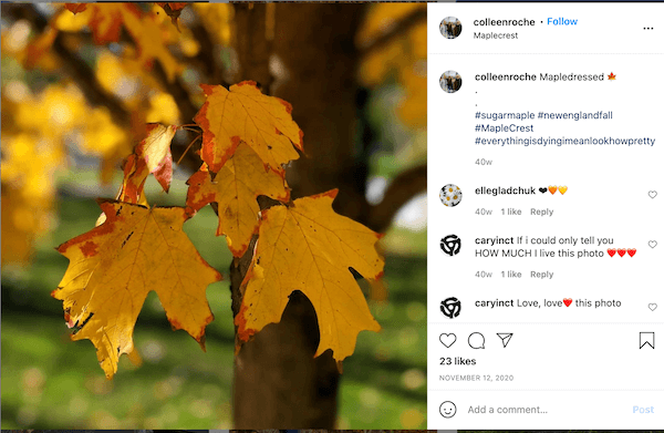 Fall Hashtags Look How Pretty