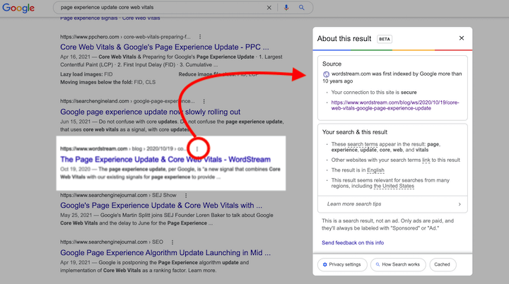 "about this result" example on SERP from Google algorithm update 2021